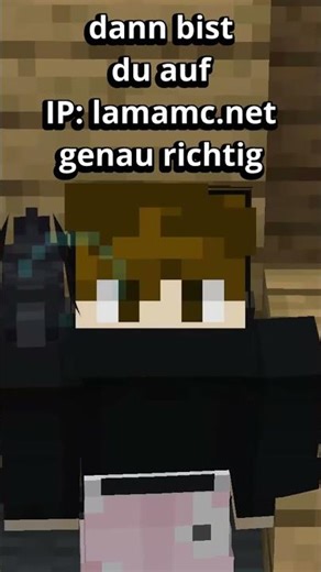 The BEST way to play Minecraft Survival with friends!