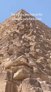 81K views · 2.4K reactions | #pyramids #egypt | Aswan Key Tour | Facebook