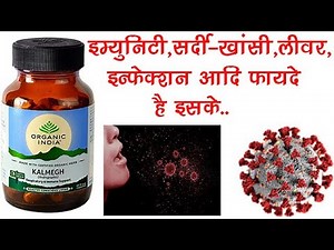 Kalmegh Capsule Benefits, Dosage, Side Effects | Organic India Kalmegh (Andrographis)✅
