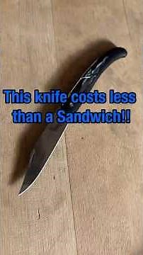 Best bang for buck folder under $10? The Cold Steel Kudu Lite!!!