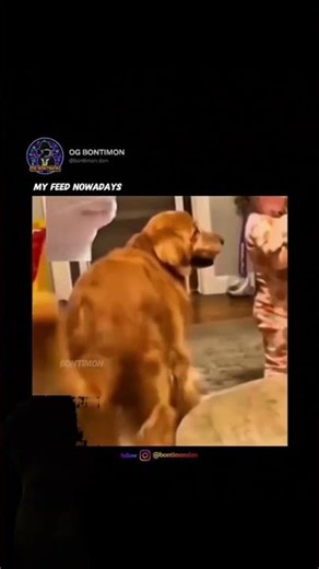 1234 funny version 🫠 #duet