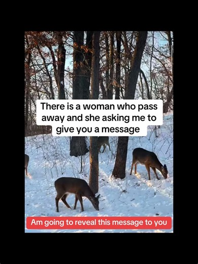 #musikrygresham #musikry #earlychildhoodmusiceducation #musicclassfortoddlers #musicclassfrobabies #musicclassforkids #musicclass #makingmusictogether #musicalfamily #musicalbaby #musicaltoddler #musicalkids #pdxdad #pdxpiano #hillsboro #pnw #autorepair #technetpros #gasitup #mechanic #drsamsonsolution #carfax #royalpurple #realestate #brakes #oilchange #supportsmallbusiness #milwaukie #vancouverwa #northwest | Spiritual spell caster