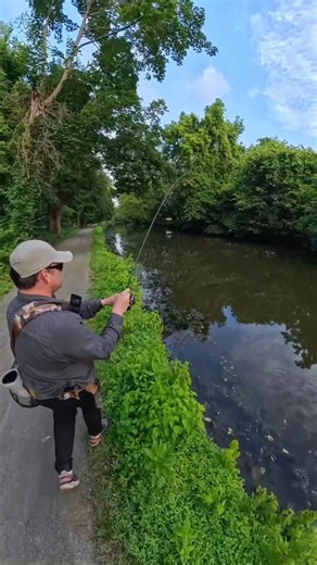 3rd person pov Summer Fishing | Insta360 X5 | ASMR #fishing #shorts
