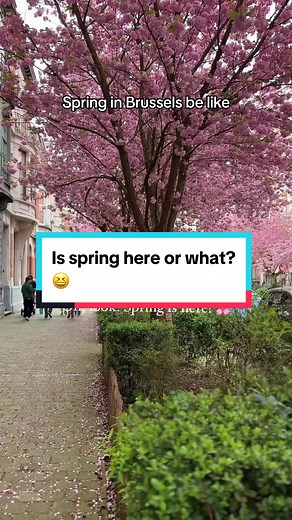Brussels Spring Weather: Is It Here Or Gone? 😂