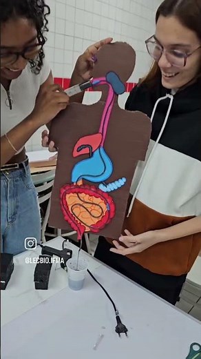 human digestive system #biology #digestivesystem