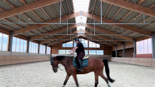 Auch am Längen Zügel kann er durchs Genick gehen😌