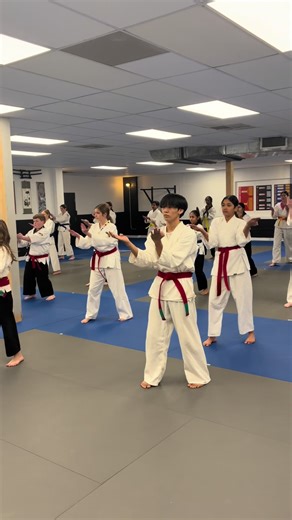 Sanchin kata is a foundational karate form that focuses on breathing, posture, muscle control, and mental focus rather than flashy techniques. The movements are simple—mainly stepping forward in the Sanchin stance with basic strikes and blocks—but it is considered advanced because it requires complete body tension, controlled breathing, balance, and internal power. #karate #blackbelt #fyp