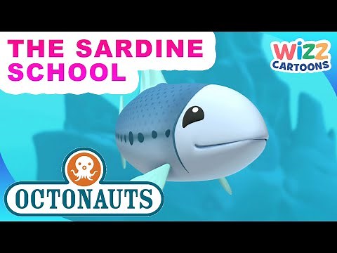 ​‪@Octonauts‬ - The Sardine School 🐟🏫 | Series 1 | Full Episode 40 | ‪@WizzCartoons‬