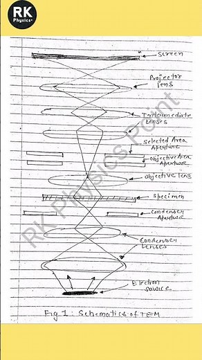 Transmission Electron Microscope | Construction, Principle And Working Of TEM | Notes Of TEM