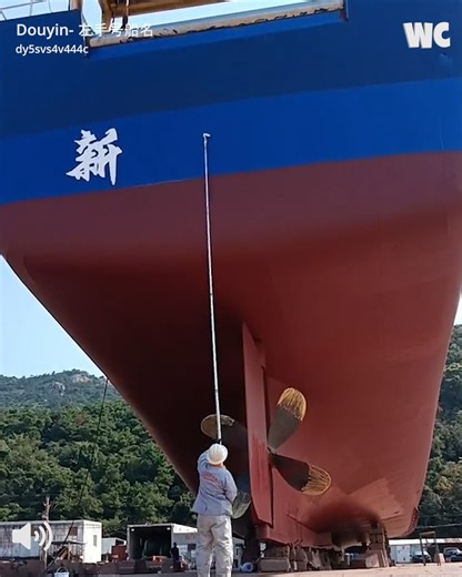 403K views · 3.2K reactions | The Science and Creativity of Ship Naming 﫨 | Watercooler | Facebook