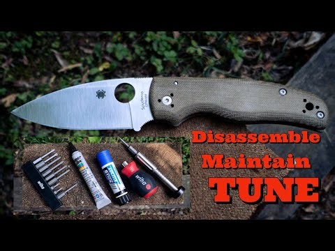 Keep Your Shaman Running Right | Disassembly and Tuning Spyderco Shaman