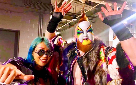 [WWE2K19]所有女选手出场对比！（2K18对比2K19）