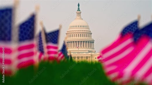 Capitol dome federal government symbol. American patriotism at Capitol building. Washington DC government and congress. United States congress senate house. Capitol Hill historic federal law.