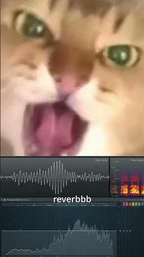 Very angry cat sound effects #catsoftiktok #catmusic #catmemes #soundeffects