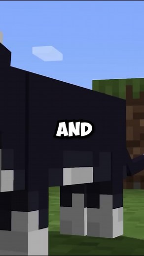 2.5K views · 67 reactions | What To Do On Your First Night...