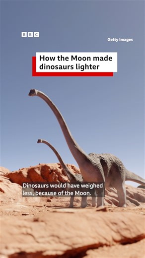 26K views · 242 reactions | Dinosaurs would have weighed less because of the Moon. 秊 Here's why...  https://www.bbc.co.uk/sounds/play/w3ct5rhn | BBC World Service | Facebook