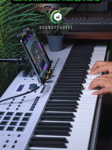 iPad Disponibles con más de 2000 Samples y más de 100 Ritmos Profesionales, a un Precio de Oferta!✅ 🛵 Envío gratis a todo el país! ✅ Pago contra entrega (Pagas al recibir tu iPad) ✅ WhatsApp al: 31192782 Contamos con librerías de: ✅Yamaha PSR 550 ✅Korg Triton Studio ✅Korg N364 ✅Korg 01W ✅Korg M1 ✅Korg D50 ✅Pianos para centro, pianos de adoración y Worship Pads. ✅Instrumentos Reales ✅Sonidos de Jacobo Reynoso, Banda Transfiguración, etc. ✅Korg PA1000 ✅Korg PA700 ✅Yamaha PSR900 ✅Korg Kronos ✅Korg