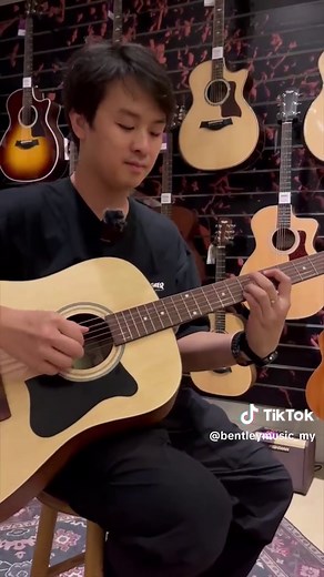 Ibanez V40OPN Dreadnought Acoustic Guitar Review