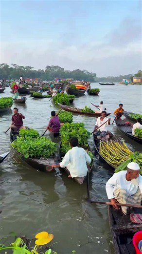 নদীর ভাসমান বাজার: নাজিরপুর বৈঠাকাটা হাট দিনগুলো কীভাবে চলে