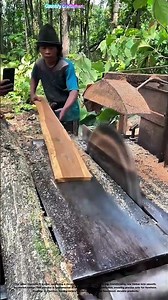 Sawing Precision: How a Circular Saw Transforms Logs into Usable Lumber