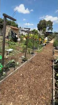 How We Expanded Our Full Compost System 🔄