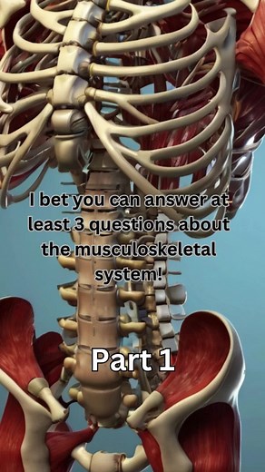 Get ready to test your knowledge of the musculoskeletal system with our engaging quiz! Learn about bones, muscles, and joints in just 60 seconds. 🦴💪 #MusculoskeletalQuiz #AnatomyTrivia #medicalquiz #fyp