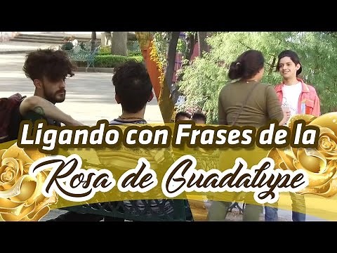 Ligando con frases de LA ROSA DE GUADALUPE