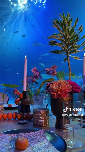 Unique Wedding Ideas at Mote Marine Lab & Aquarium