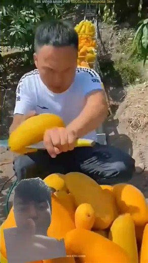 China most unique mongo cultivation 🤯 #mango