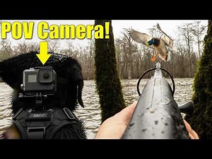 I Rigged a GoPro on my Hunting Dog & This is what is captured!