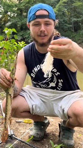 How to Catch GAR with ROPE!!! #gar #fishing #fishingvideo #fishingtips #lure #howto #river #fish