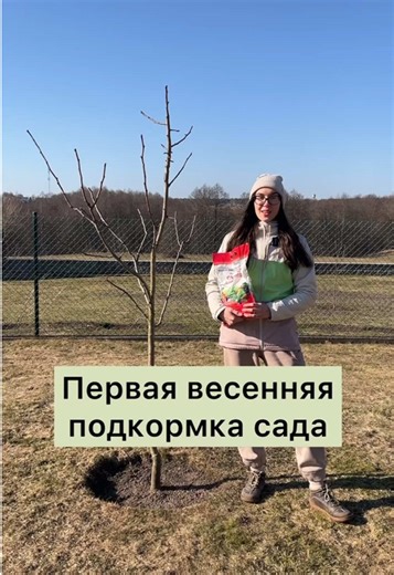 Самая первая и важная подкормка плодового сада весной Когда? Чем? Для чего? Как? Всего за 40 секунд Виктория расскажет о всех тонкостях! Дозировка удобрения: ▫️плодовые деревья до 3-4 лет: 20-25 г/м² ▫️плодовые деревья старше 3-4 лет: 40-45 г/м² ▫️плодовые кустарники: 30 г/м² А также сульфатом аммония подкармливаем и цветочно-декоративные растения в соответствии с дозировкой на упаковке. ✅ сохраняйте, чтобы не потерять! Питомник @mir.rasteniy.by желает вам отличный урожаев! #подкормкасада #весен