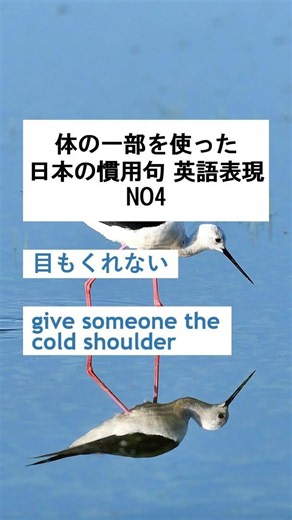体の一部を使った日本の慣用句 NO4 #聞き流し #英語 #english #日本語 #japanese #shorts