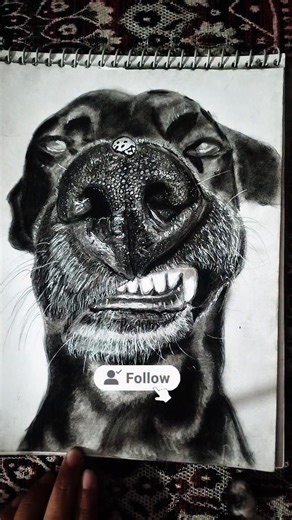 Hyper Realistic Dog Sketch in 🐶 #shorts