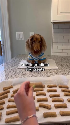 #каиростарфиш #каиро