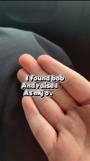 I found Bob three minutes later then he died again #funny #lol #edit #fyp
