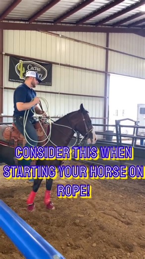 28K views · 326 reactions | Consider this when starting your horse on rope!樂 #calfroping #tiedownroping #lessons #coaching #training #subscribe #horsetraining | Rodeo Gym | Facebook