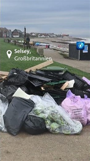 Bananen an Englands Stränden. #tagesschau #Nachrichten #Banane