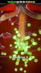 Female tick life cycle #gk #generalknowledge #knowledge | Facts Too