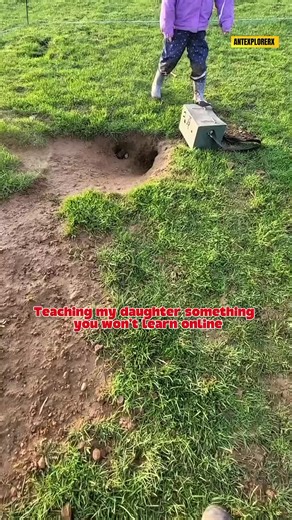 Good to be out in the open warrens yesterday instead of the hedgerows. Ferrets working underground, nets set, pressure building. Even better being out with my daughters and watching them get properly stuck in. Finished on a good note.#fyp #learnontiktok #ferrets #pestcontrol #familylife