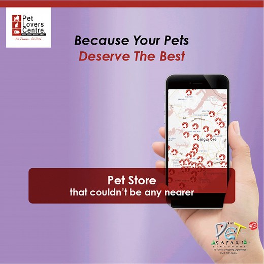 Pet Lovers Centre is always the go-to place for all pet lovers. We pride ourselves on delivering best-in-class services and support for all your pet needs. Discover more about our services today! | Pet Lovers Centre Singapore