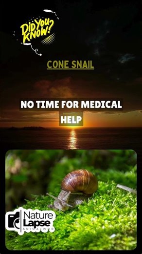 This Snail Kills in Just 30 Minutes! 🐌⏰ #FastDeath