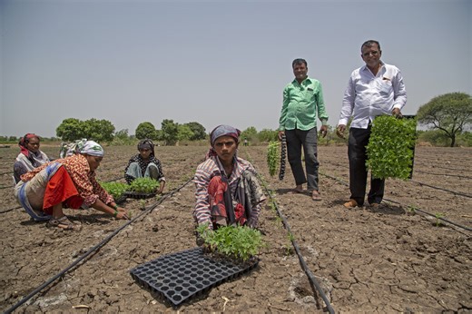 The rebirth of Hiware Bazar