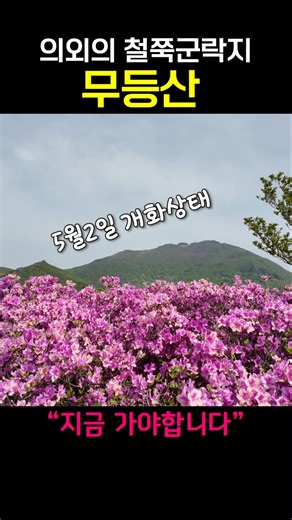 5월2일 무등산 안양산 철쭉