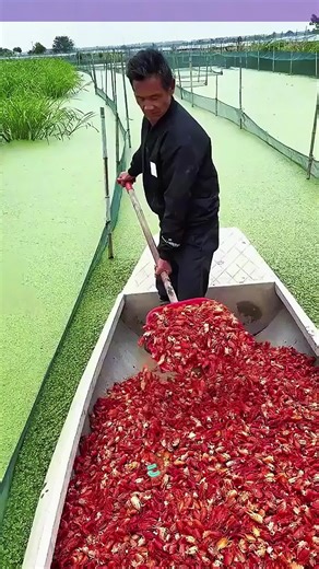 古民家再生の驚くべき事実