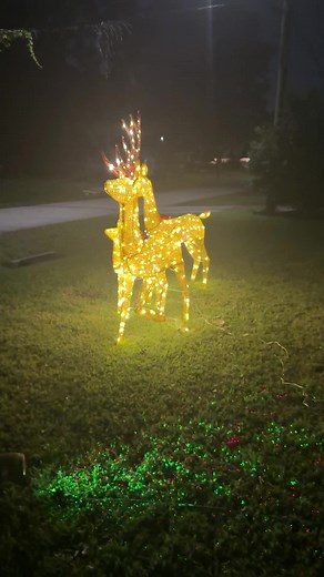 #navidad #venados #decoracion #christmas