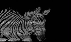 BB ASCII Demo Full Screen size running in Linux (With sound)