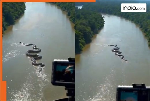 VIRAL video: Massive Anaconda seen gliding through water in the heart of Amazon rainforest; Viral clip will leave you stunned