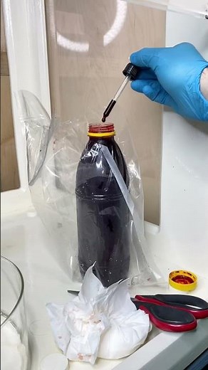 Let's see how a little bit of blood reacts to hydrogen peroxide. #experiment #science #short