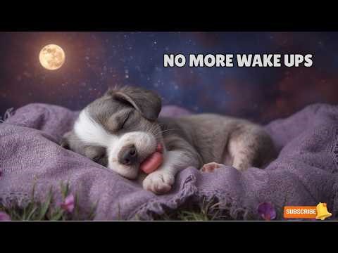 6 Hours of Gentle Piano Lullaby 🌙 Deep Sleep Music for Babies & Kids (No Ads, Calm Night)
